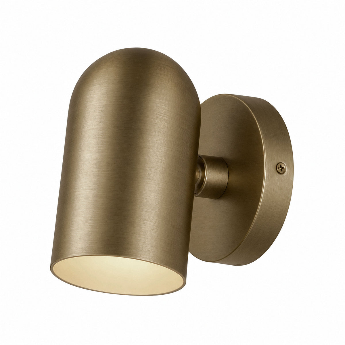 SpotLight Outdoor LED Sconce