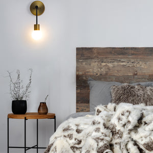 Neutra 1 Light Wall Sconce
