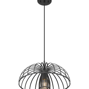 Valencia 1 Light Pendant