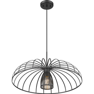 Valencia 1 Light Pendant