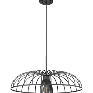 Valencia 1 Light Pendant