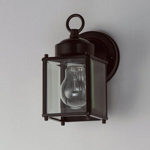 1-Light Outdoor Wall Mount