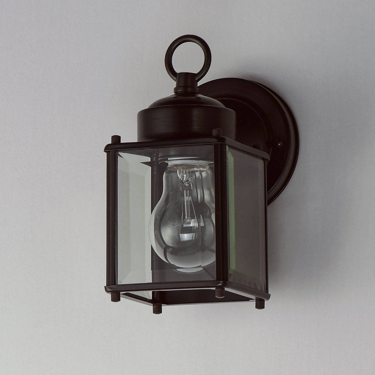 1-Light Outdoor Wall Mount
