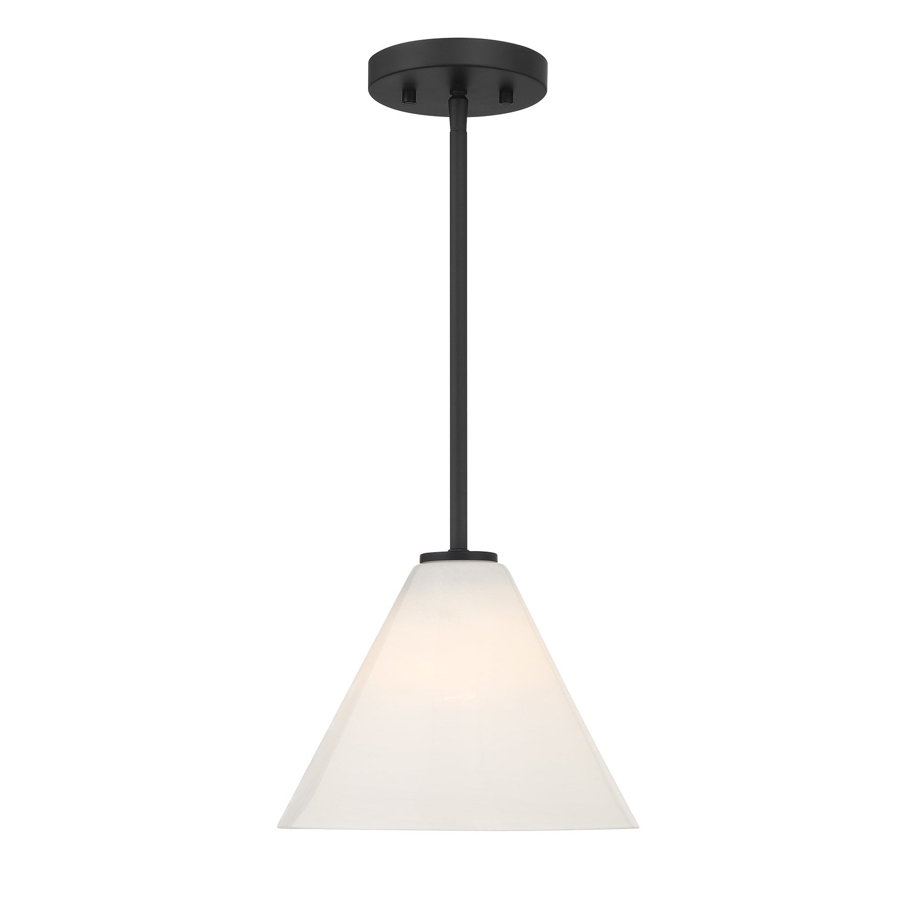 7-4011-1-89 - 7-4011-1-89-pendant