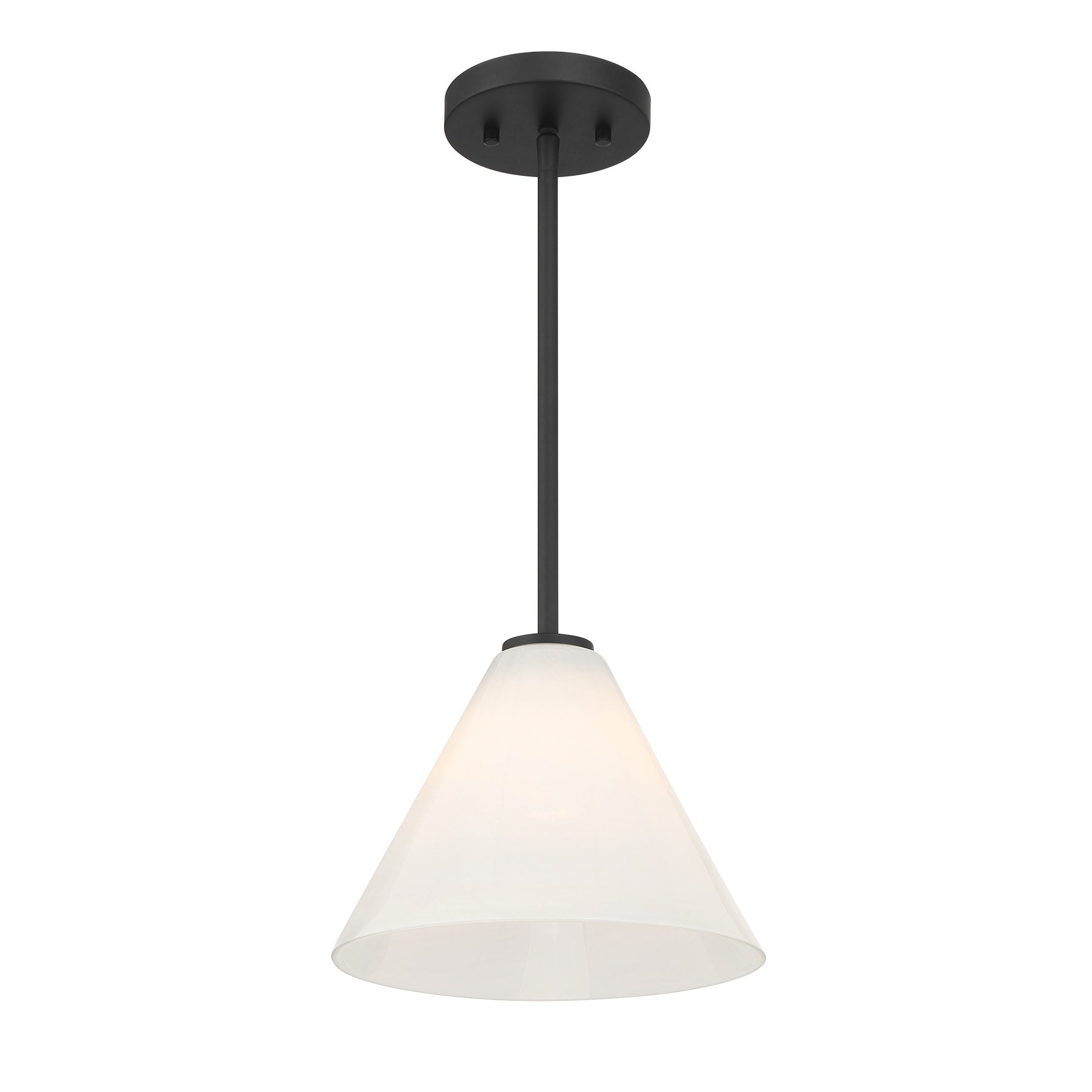 7-4011-1-89 - 7-4011-1-89-pendant_C