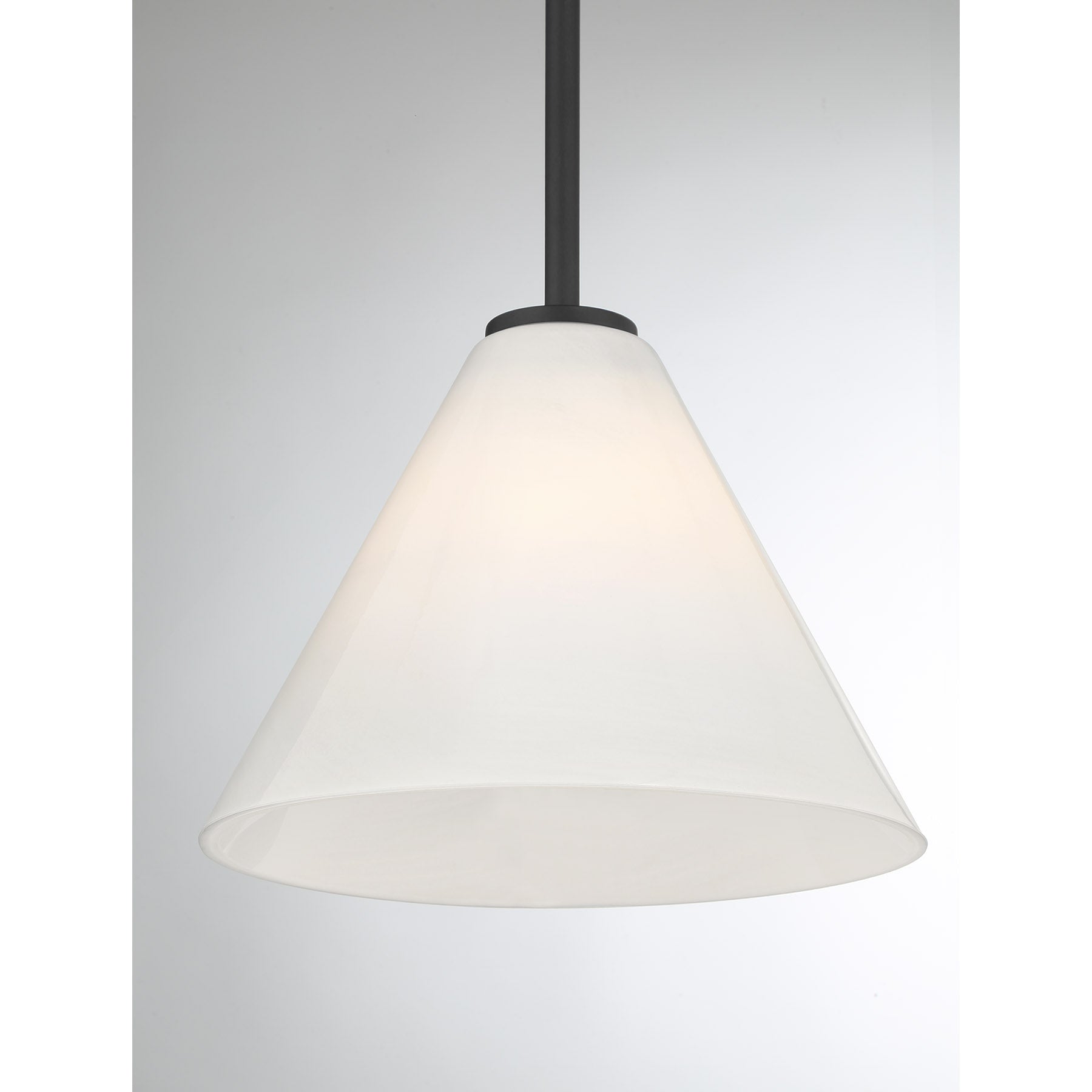 7-4011-1-89 - 7-4011-1-89-pendant_E