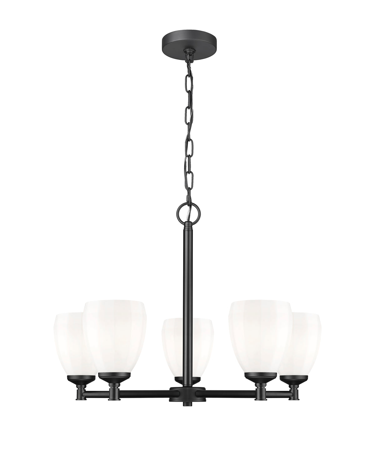 Oren 5 Light Chandelier