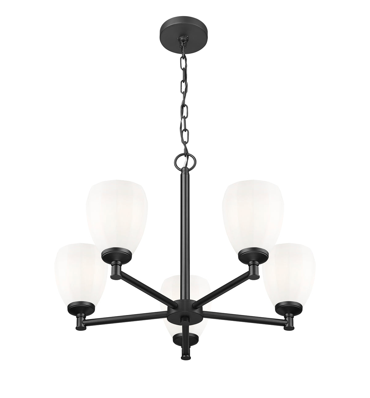 Oren 5 Light Chandelier