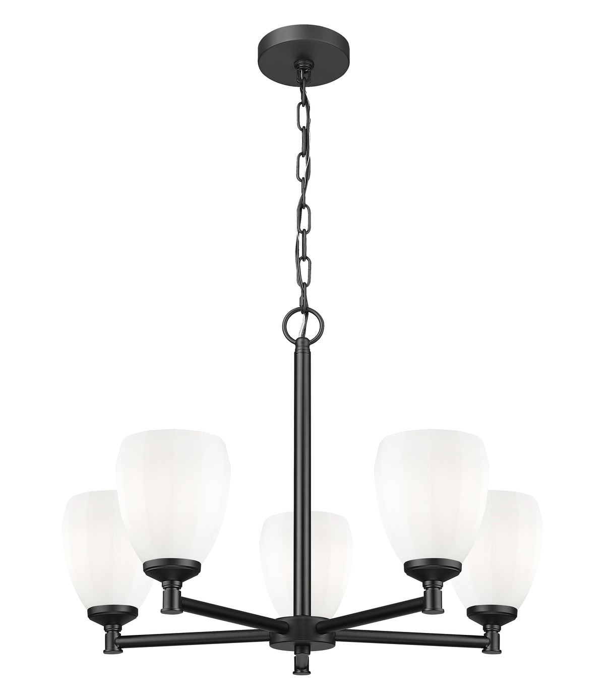 Oren 5 Light Chandelier