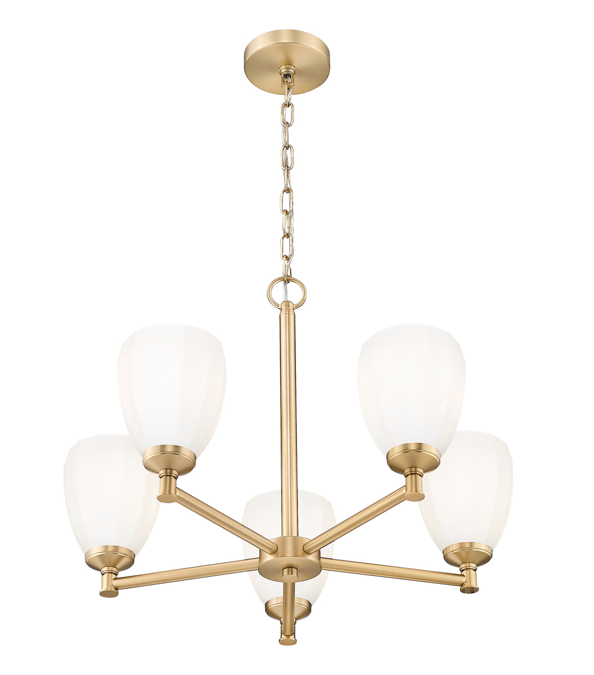 Oren 5 Light Chandelier