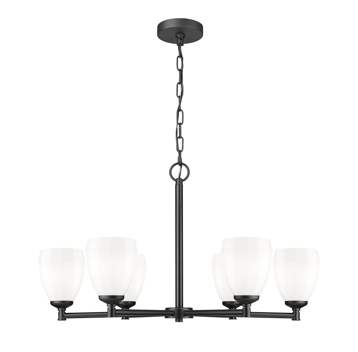 Oren 6 Light Chandelier