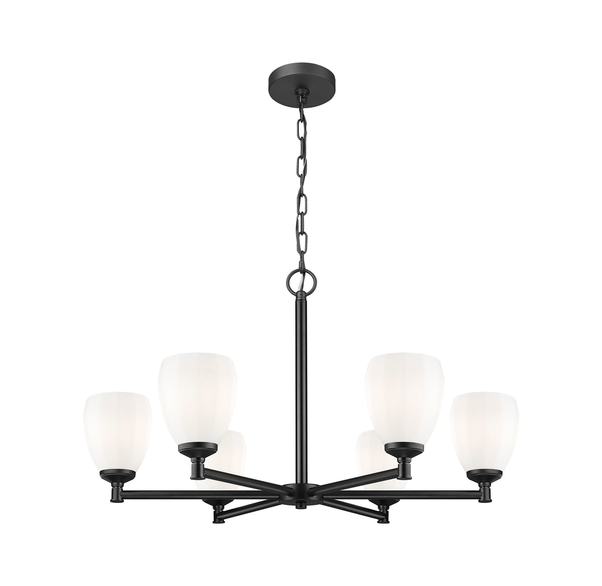 Oren 6 Light Chandelier