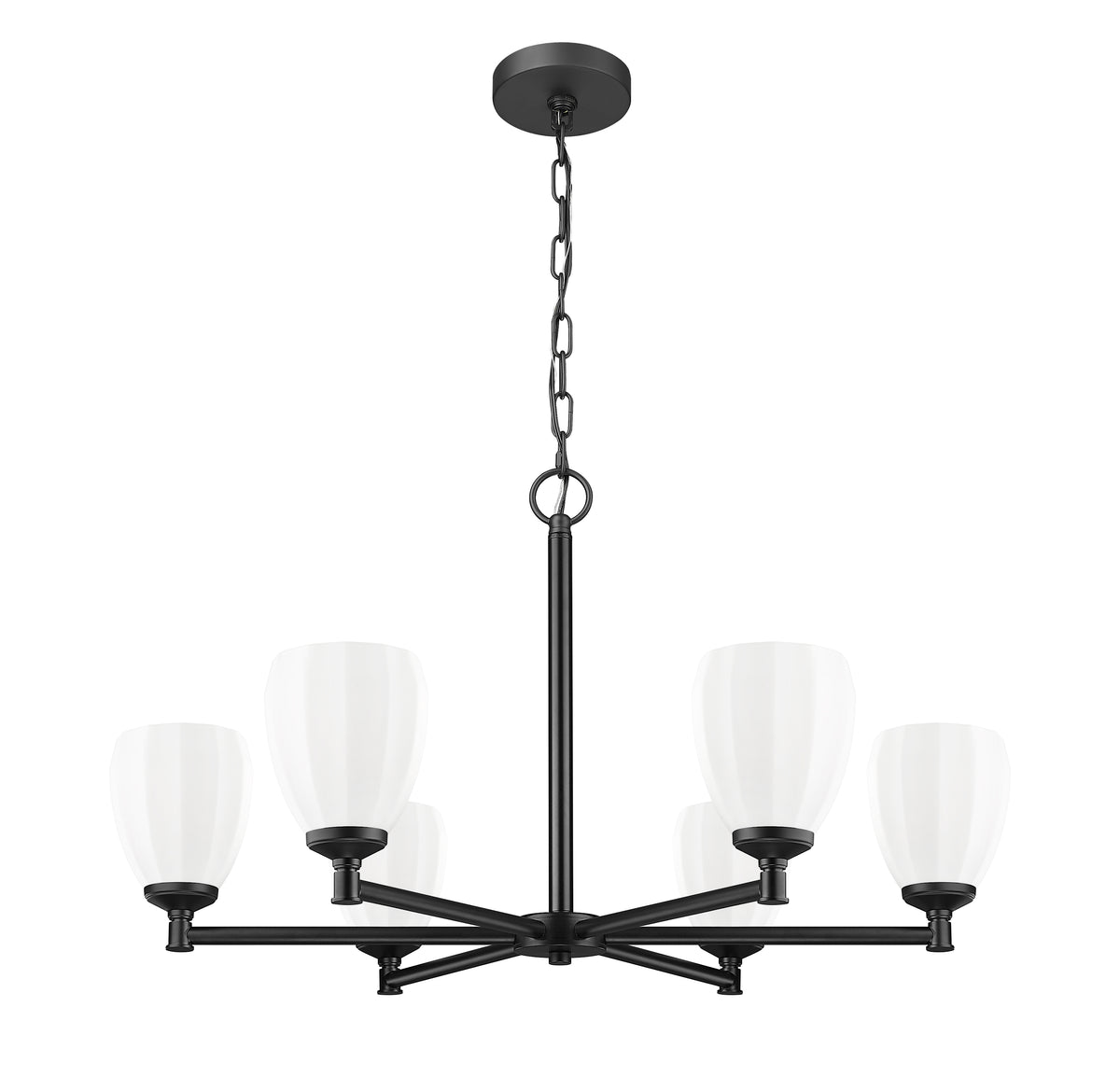 Oren 6 Light Chandelier