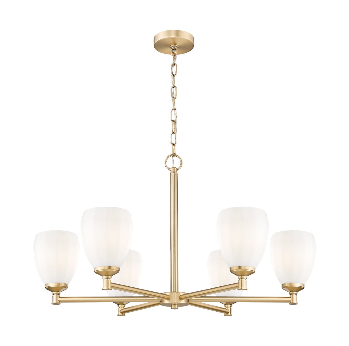 Oren 6 Light Chandelier