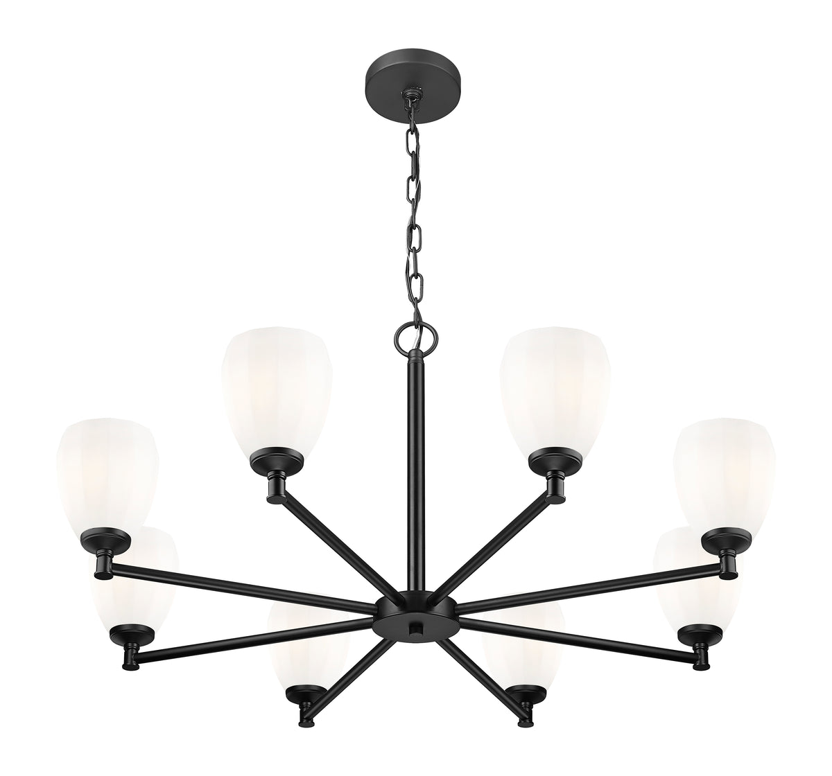 Oren 8 Light Chandelier