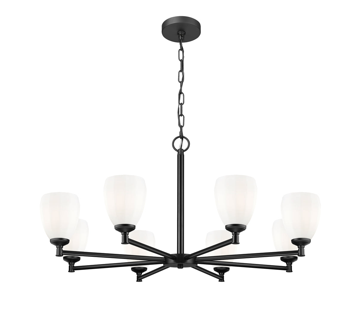 Oren 8 Light Chandelier