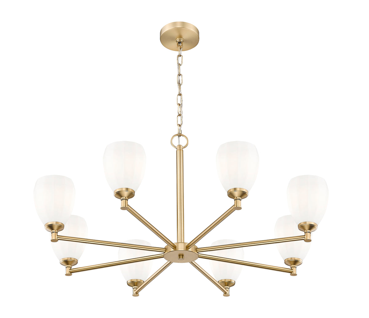 Oren 8 Light Chandelier