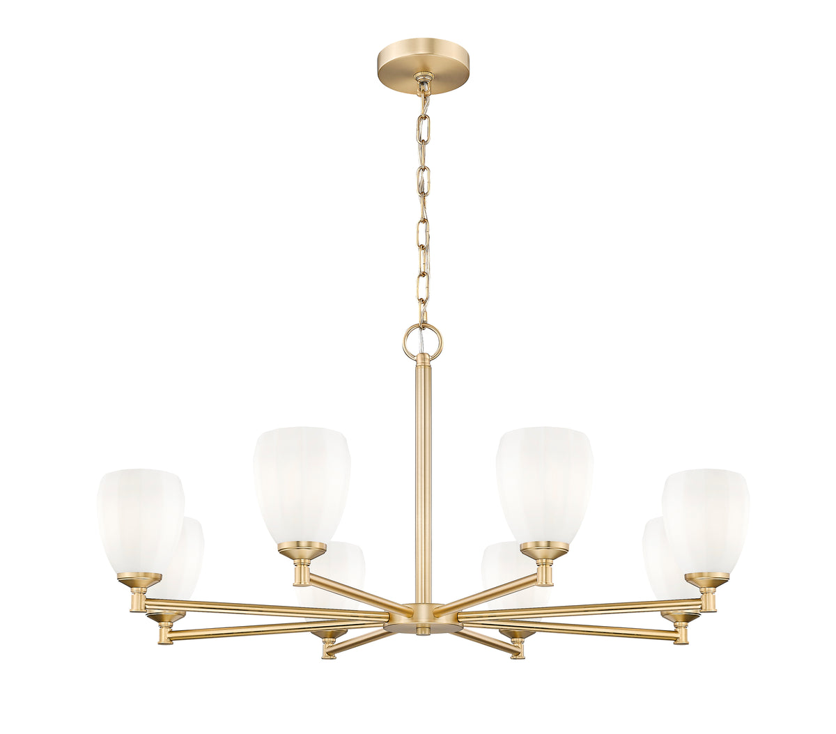 Oren 8 Light Chandelier