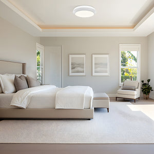 Quasars 1 Light Flush Mount
