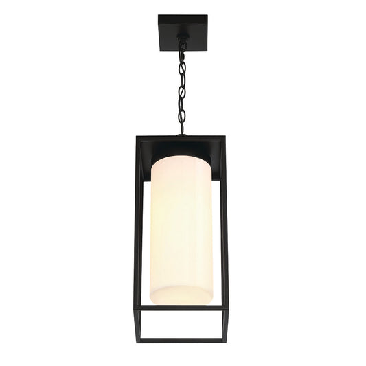Ren 19" Outdoor Standard Pendant