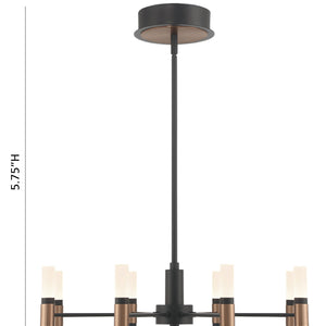 Albany 8-Light 24" Integrated LED Pendant Chandelier