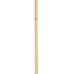 Aimie 1 Light Pendant 1 x 60W - Candelabra