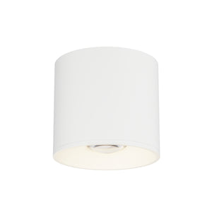 Stout RD 120-277V Indoor/Outdoor Flush Mount