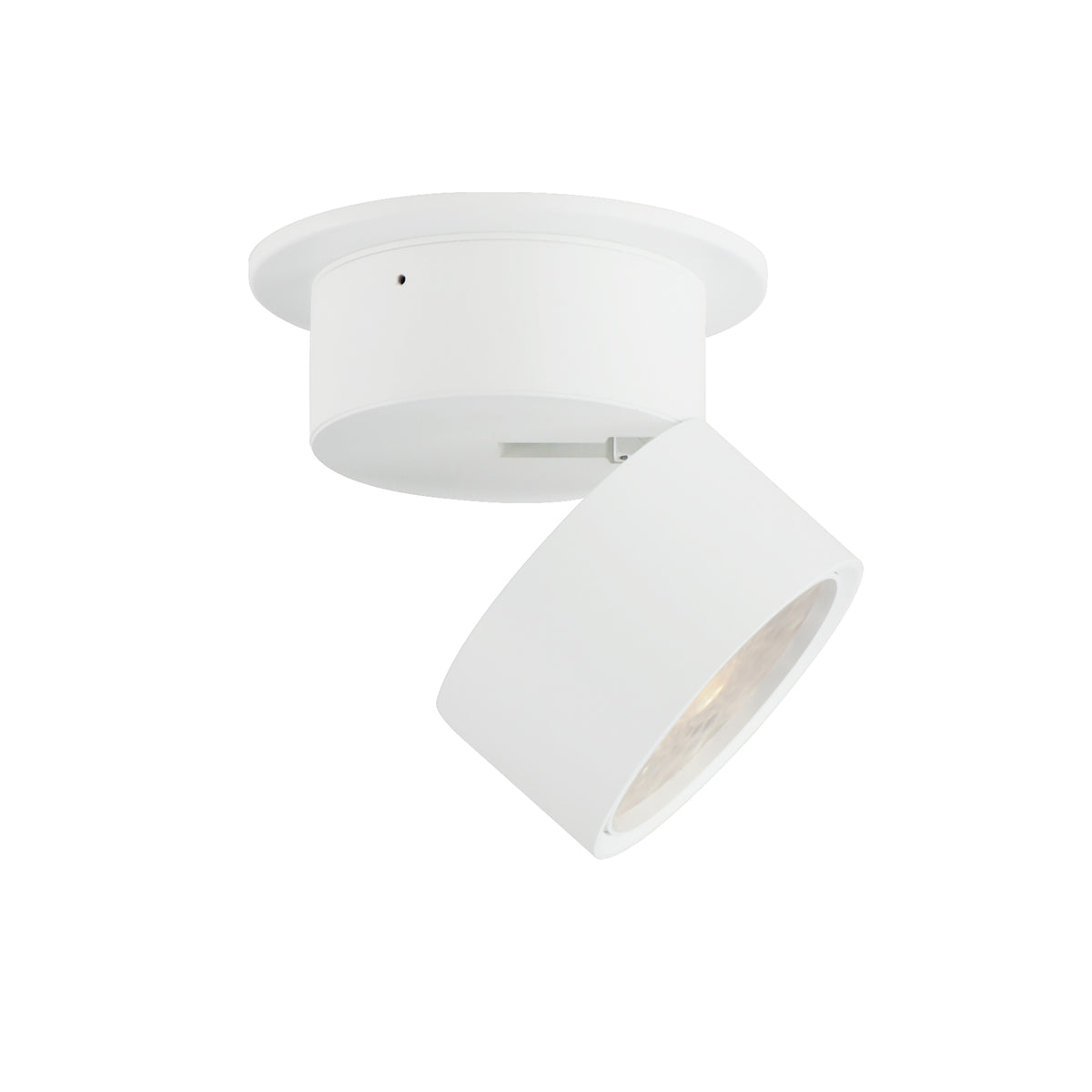 Swinger 5.25" Adjustable LED Flush Mount