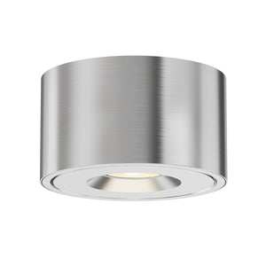 Fulcrum LED Flush Mount w Gimbal
