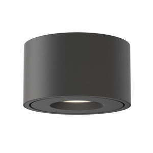Fulcrum LED Flush Mount w Gimbal