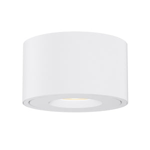 Fulcrum LED Flush Mount w Gimbal