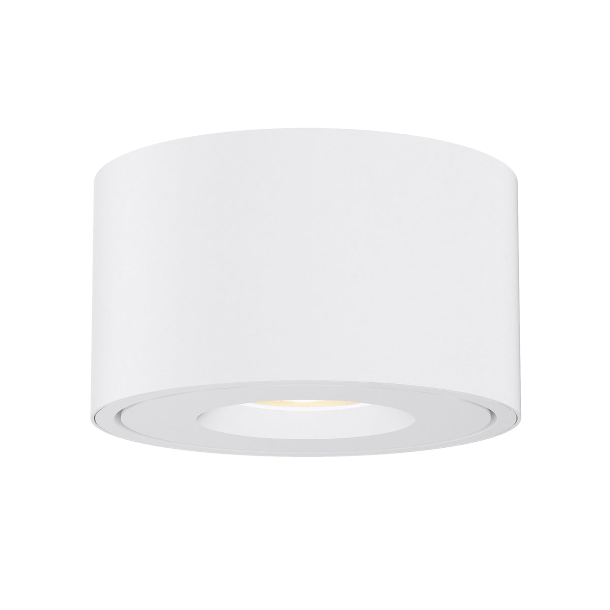 Fulcrum LED Flush Mount w Gimbal