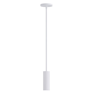 Fulcrum LED Pendant w Gimbal