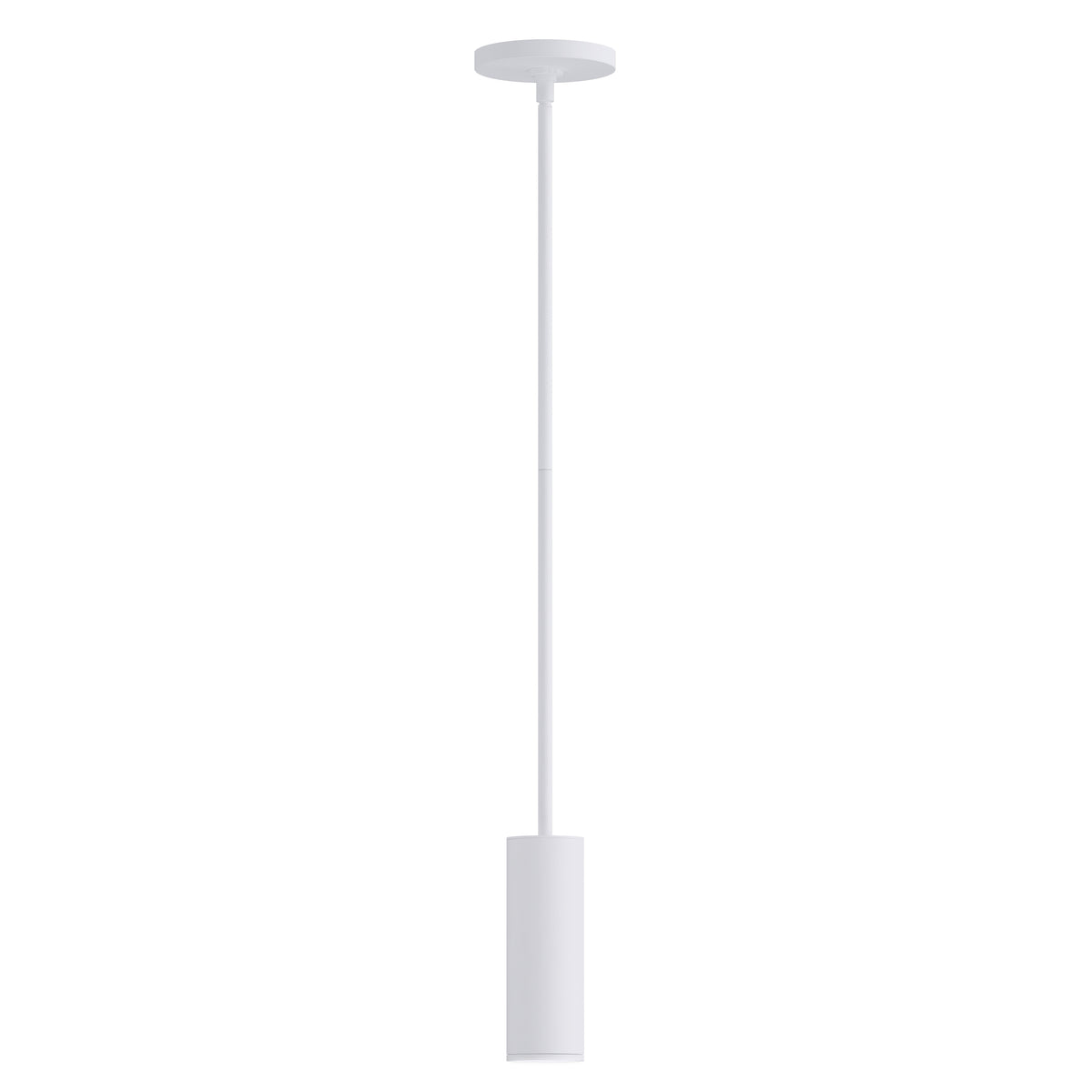Fulcrum LED Pendant w Gimbal
