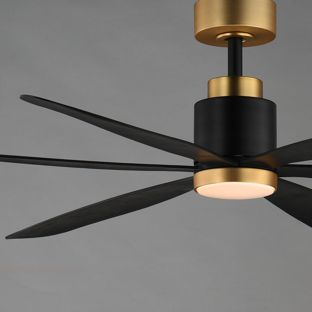 Petals 60" 6-Blade Fan w LED