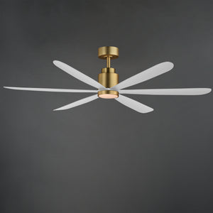 Petals 60" 6-Blade Fan w LED