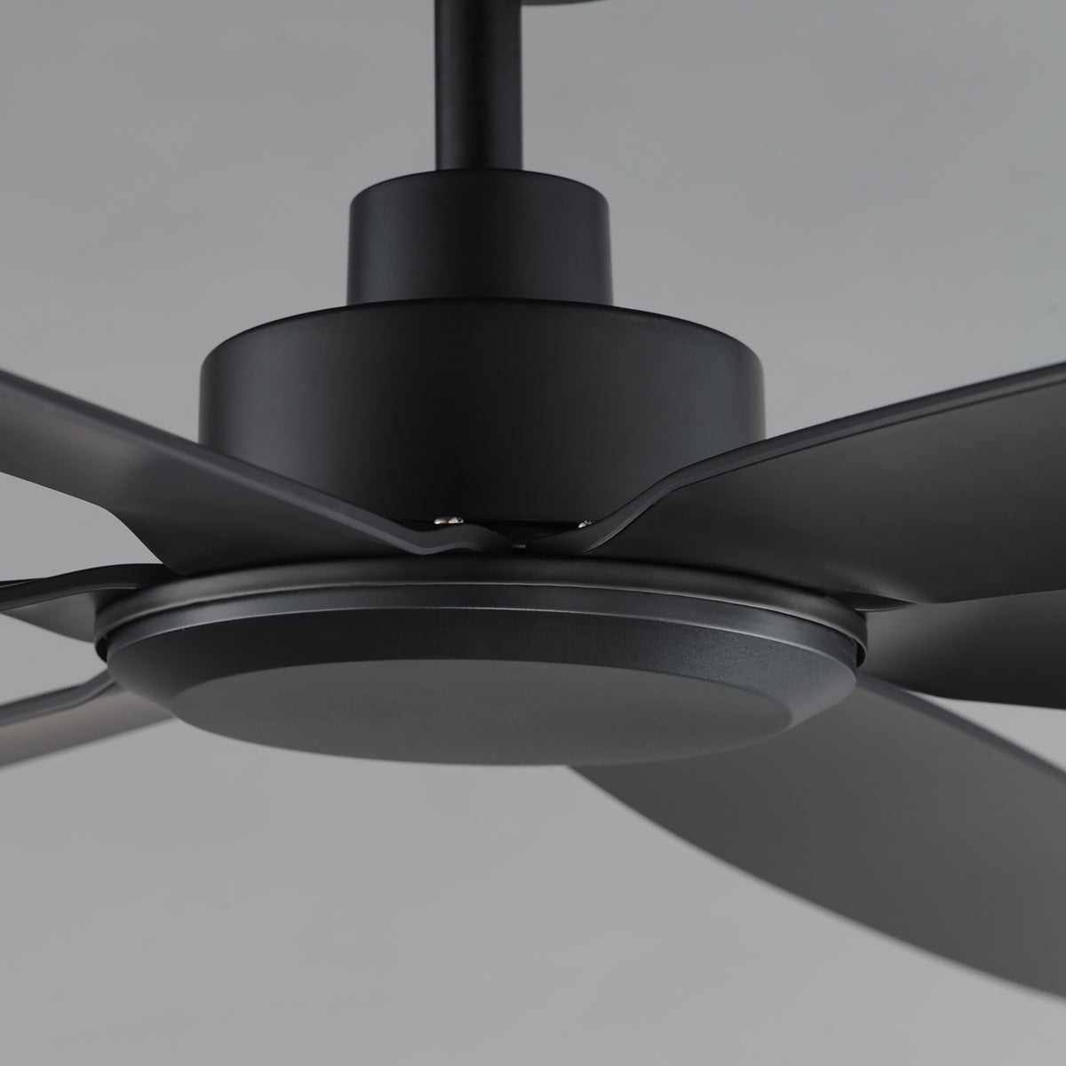 Albatross 72" 6-Blade Marine Grade Fan