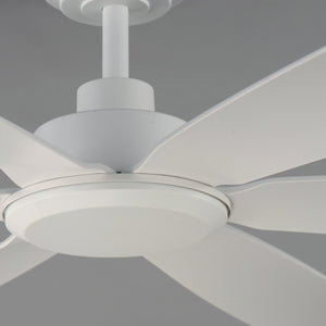 Albatross 72" 6-Blade Marine Grade Fan