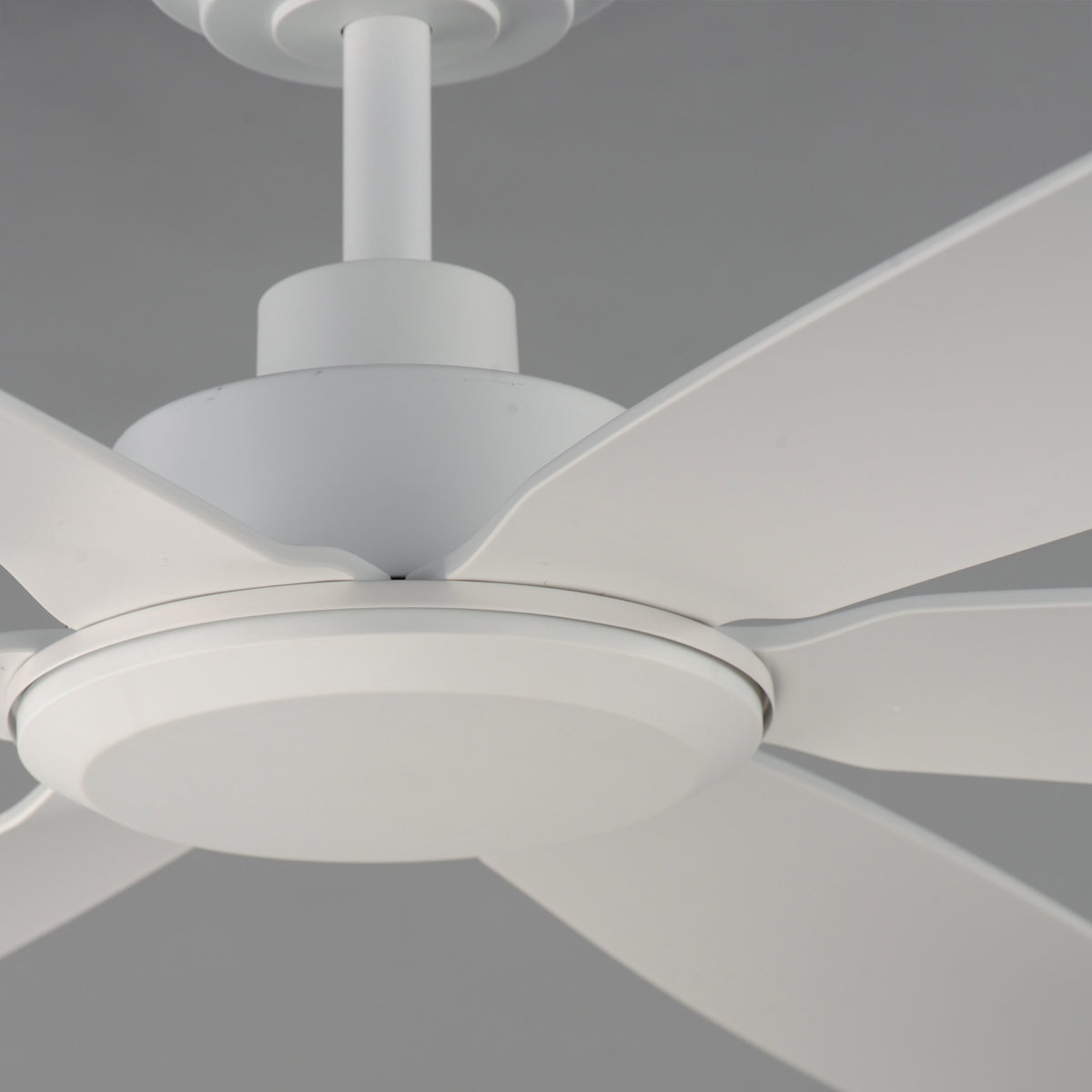 Albatross 72" 6-Blade Marine Grade Fan