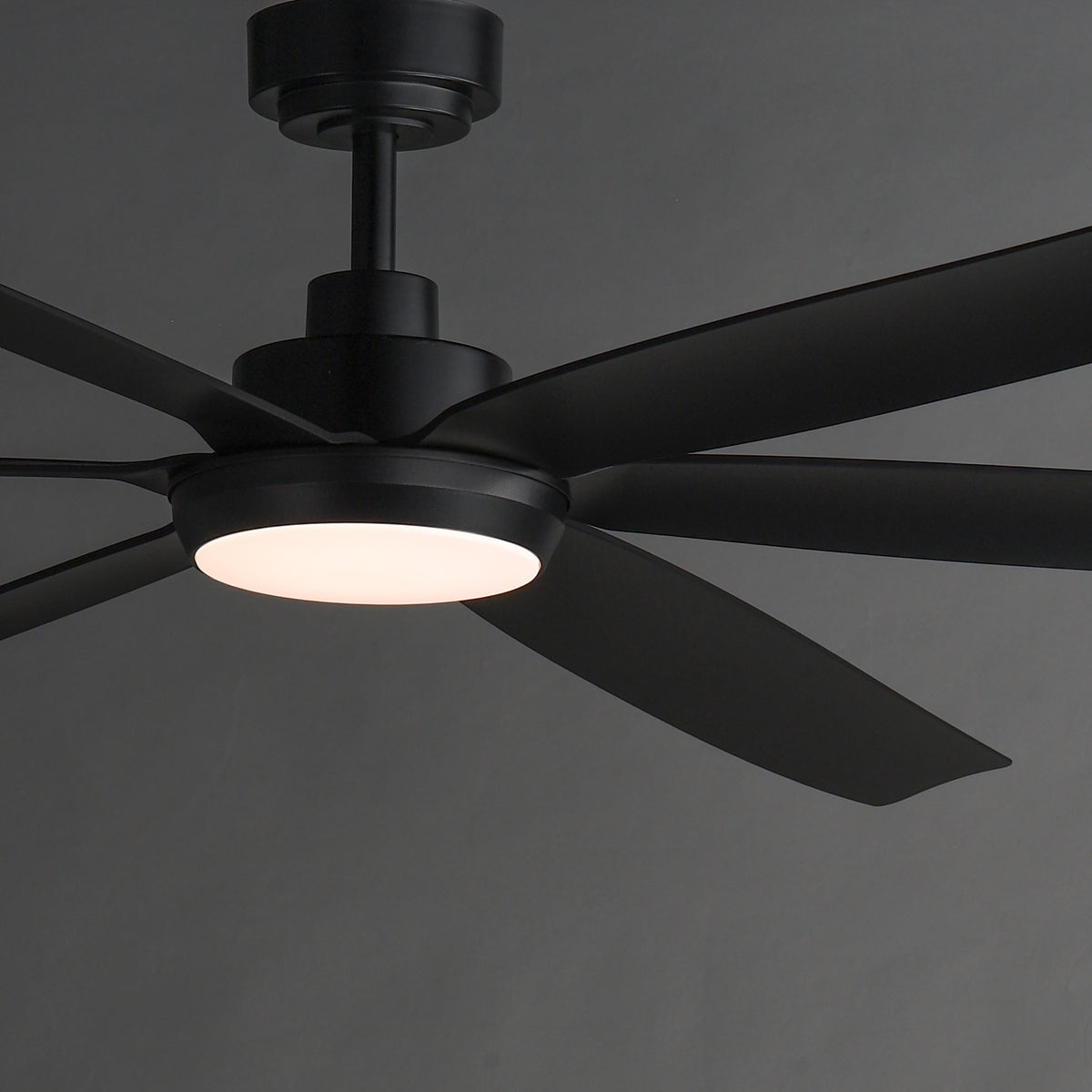 Albatross 72" 6-Blade Marine Grade Fan w LED