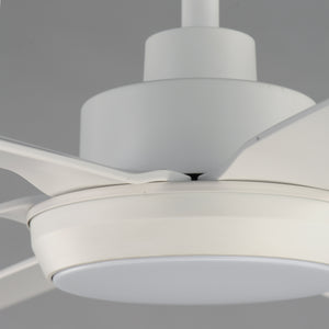 Albatross 72" 6-Blade Marine Grade Fan w LED