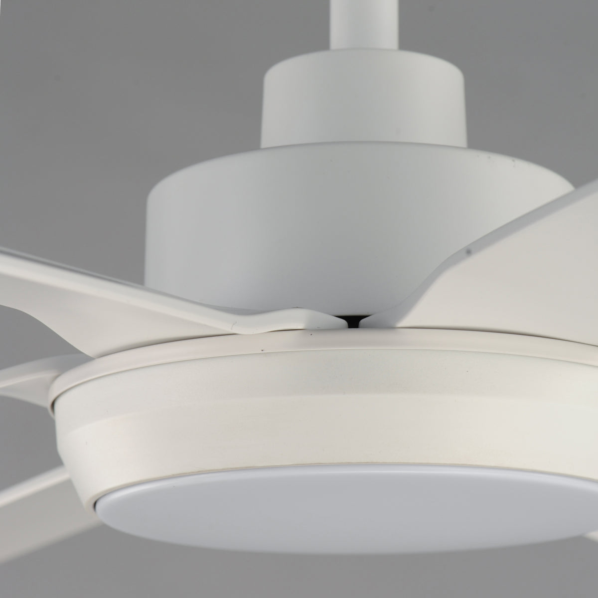 Albatross 72" 6-Blade Marine Grade Fan w LED