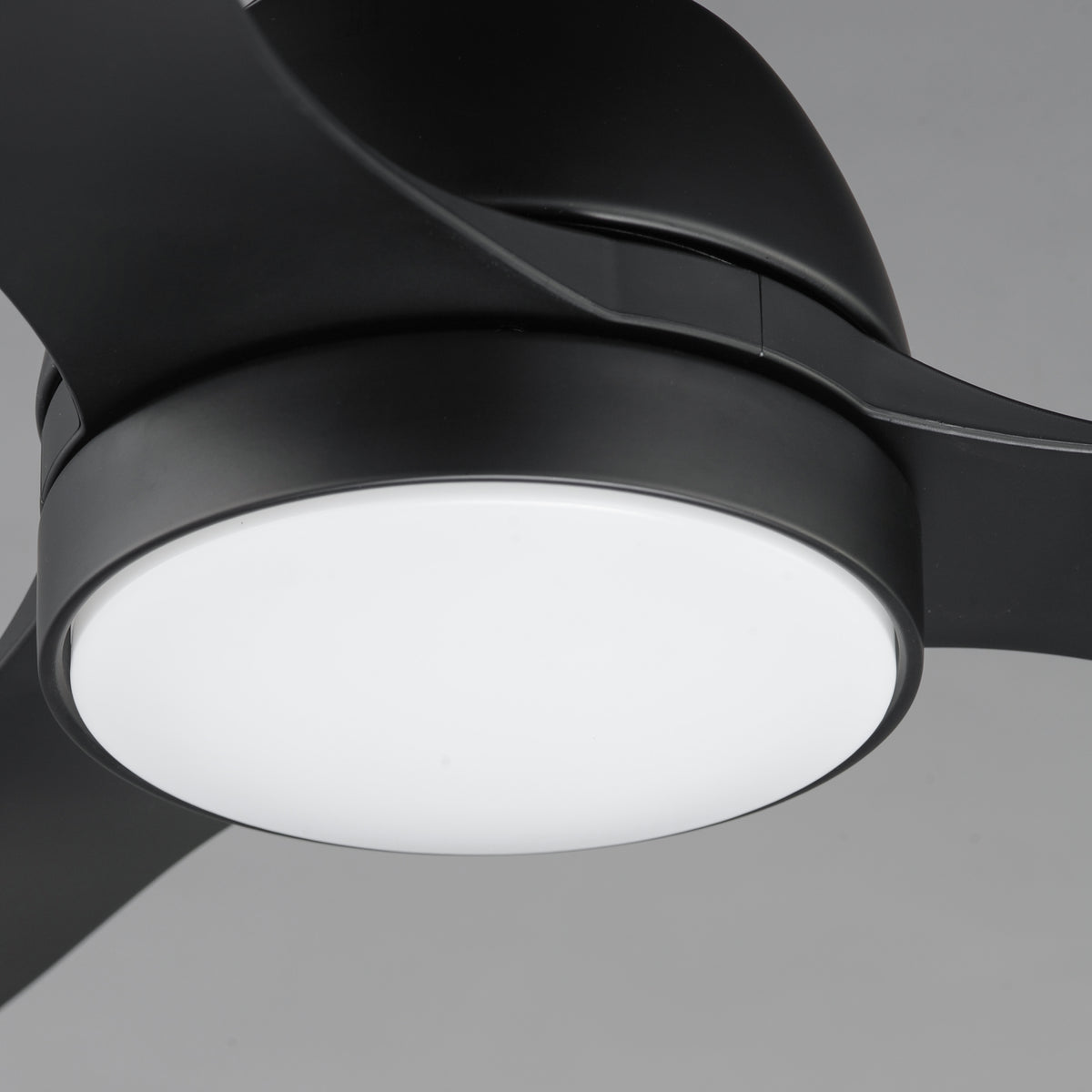 Sparrow 52" Outdoor Fan w LED