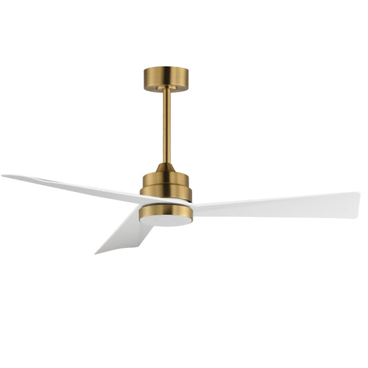 Vortex 52" Indoor Fan with LED Light Kit