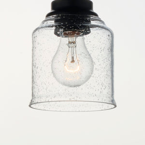 Acadia 1-Light Pendant