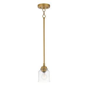 Acadia 1-Light Pendant