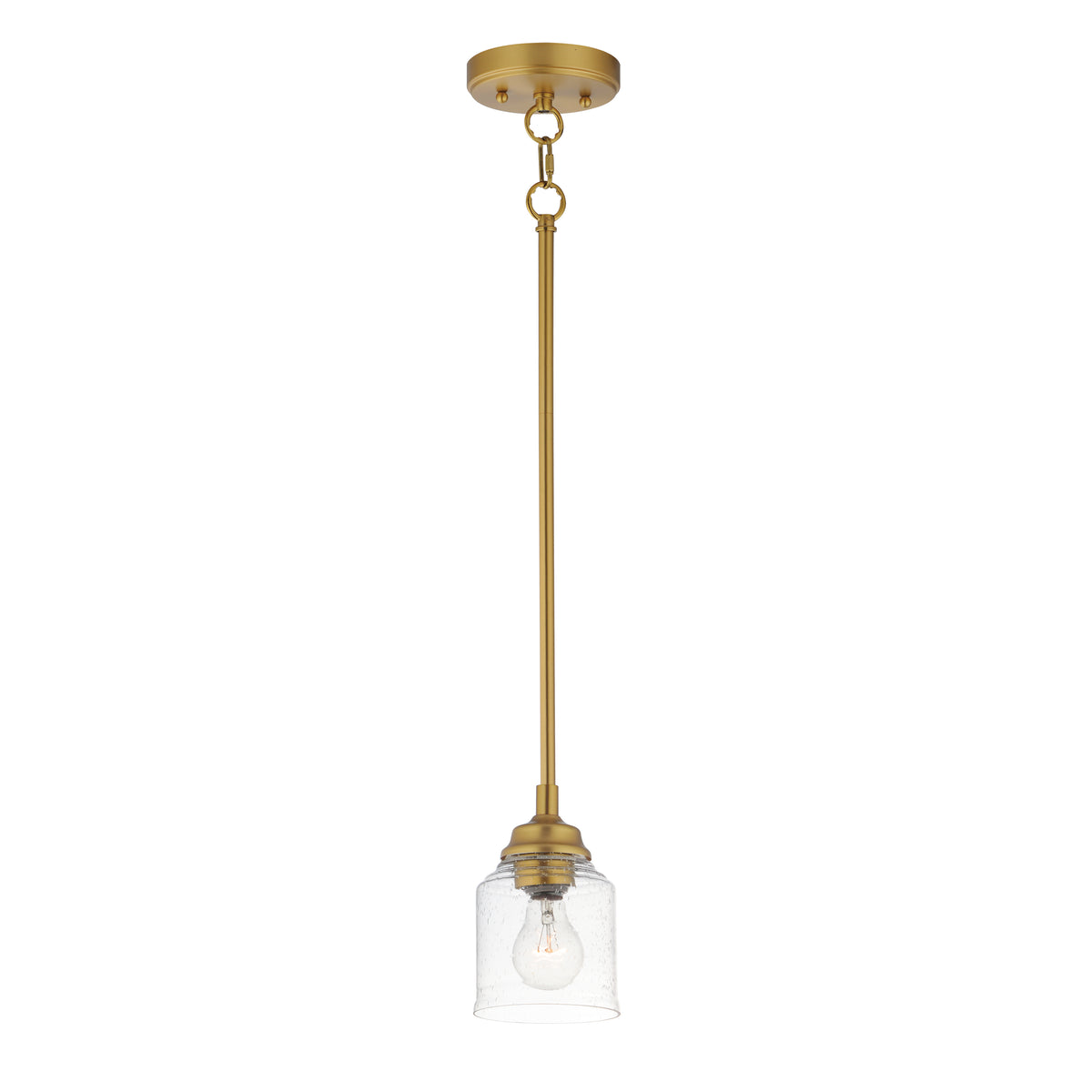 Acadia 1-Light Pendant