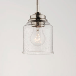 Acadia 1-Light Pendant