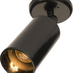 Spots 1-Light Can Wall/Flush Mount