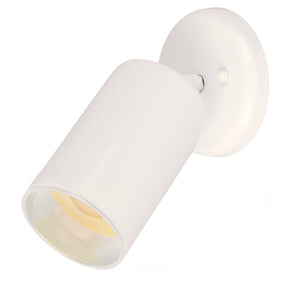 Spots 1-Light Can Wall/Flush Mount